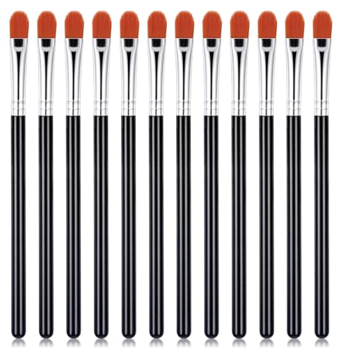 6 Pcs Eye Shadow Primer Applicator Brush Set