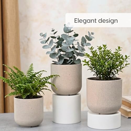 Image of Eha Earth-Friendly Terrapod Planters for Home Decor | 3.5 Inch, Pack of 6 | Small Plant Pot Made with Rice Husk Biocomposite | Flower Pot for Living Room | Sand Castle