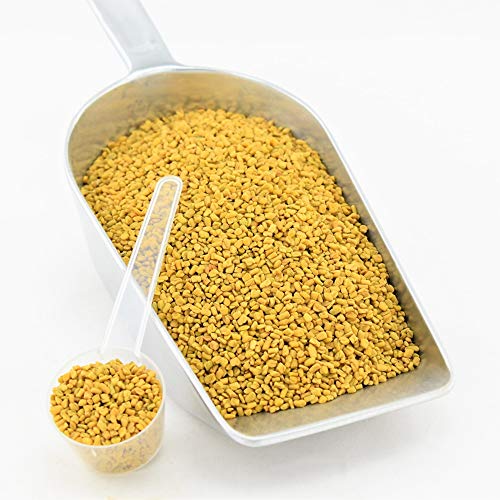 Bio-Produkte :: Lebensmittel & Getränke :: 1.000 G Bockshornklee Saat Bockshornkleesamen Original Indisch Natürlich Vom-Achterhof - - Ökologische Produkte Online Kaufen