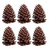 Weit anwendung palette, geeignet für viele gelegenheiten, wohnzimmer, büro, exquisite und natürliche, sehr chic grosse pinienzapfen kiefernzapfen zapfen zum basteln