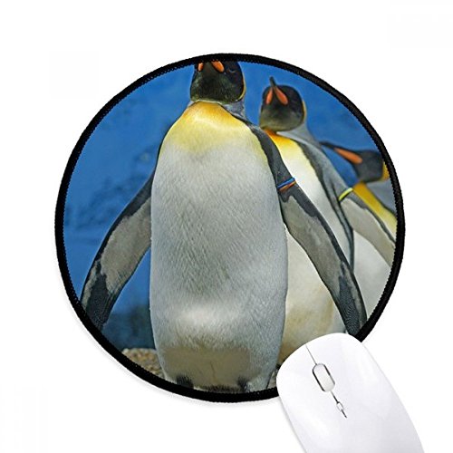 ɂ̃yM͎̑RȊwʐ^ EhEmXbvE}EXpbhEubNtitched[Q[ItBX蕨