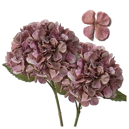 2 Piezas de Hortensias Artificiales, hortensias de Flores Artificiales con Tallos de impresión Digital Falsa Flor Seca para decoración del hogar para Cocina, Rosa y Gris