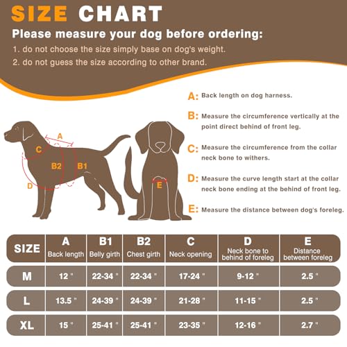 Winsee Service Dog In Training Vest With 10 Pet Patches thumb #5