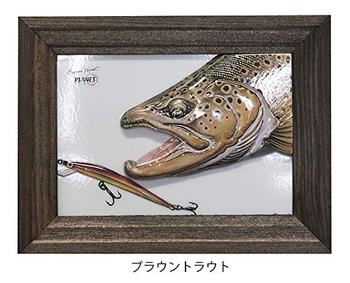 Amazon.co.jp: 3Dフォト 第8弾 L判 ブラウントラウトVer フォト