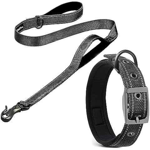 PetiFine Heavy Duty Dog Collar and Leash, Soft Padded Reflective Dog Collar with 4FT Dog Leash for Small Medium Large Dogs(14.5''-19'') Cover