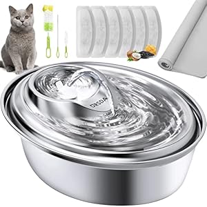 Pet Water Fountain for Dogs Inside 2L