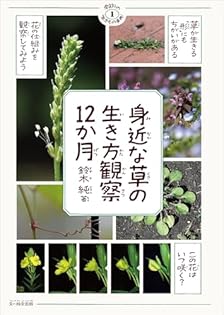 Amazon.co.jp: 鈴木 純: 本、バイオグラフィー、最新アップデート