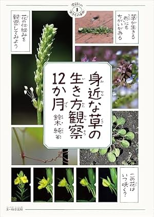 まちなか植物観察のススメ | 鈴木 純, 鈴木 純, カツヤマ ケイコ |本