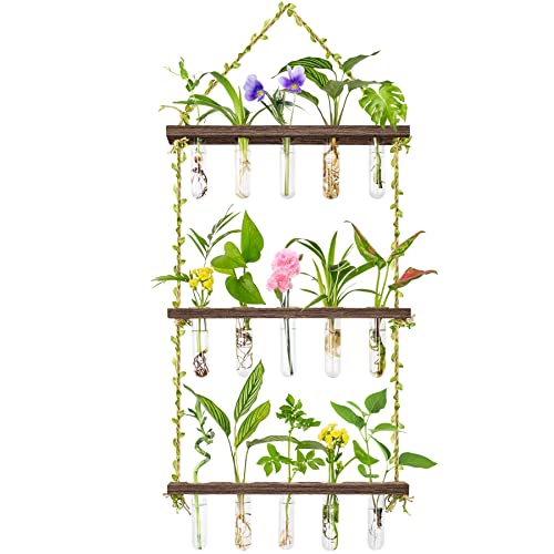 Grovind Propagation Stations, 3 Tier Large Wall Hanging Plant Terrarium With Wooden Stand Retro Propagation Station Test Tubes For Hydroponic Indoor Plants Cutting Planter For Home Garden Office Decor #TOP18
