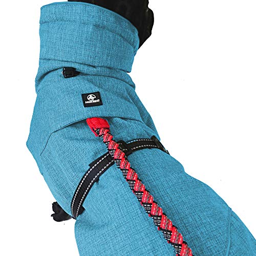 Croci Hiking Hundemantel, wasserdicht, für Hunde, Makalu, wärmeregulierendes Futter, Türkis, 40 cm