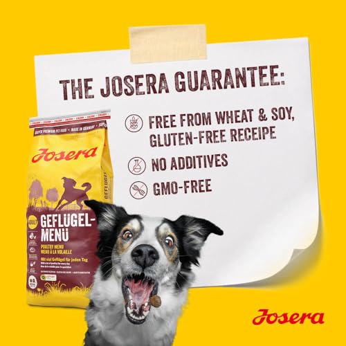 Josera Adult Chicken & Rice 12,5 kg Trockenfutter für Hunde