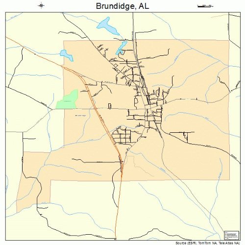 Large Street & Road Map of Brundidge, Alabama AL Printed poster size