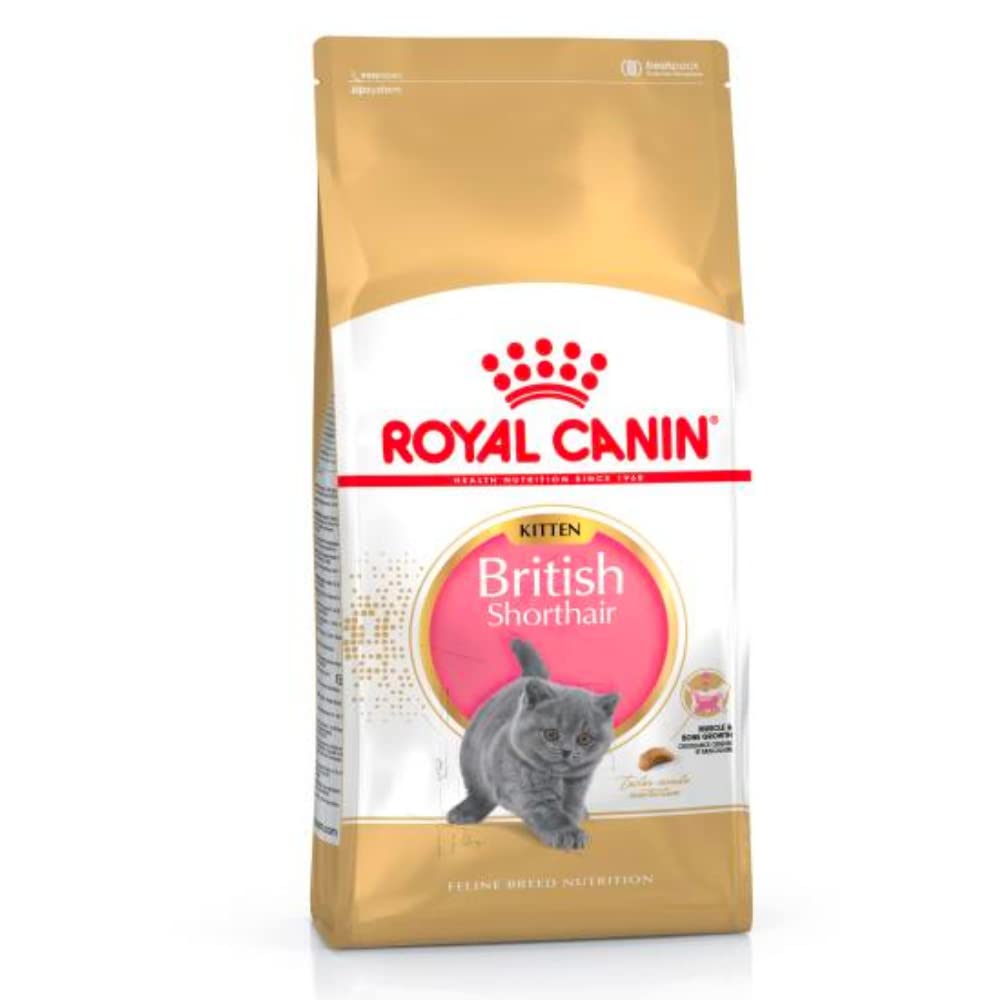 Royal Canin Cibo Secco per Gatti Adulti British Kitten - 10kg