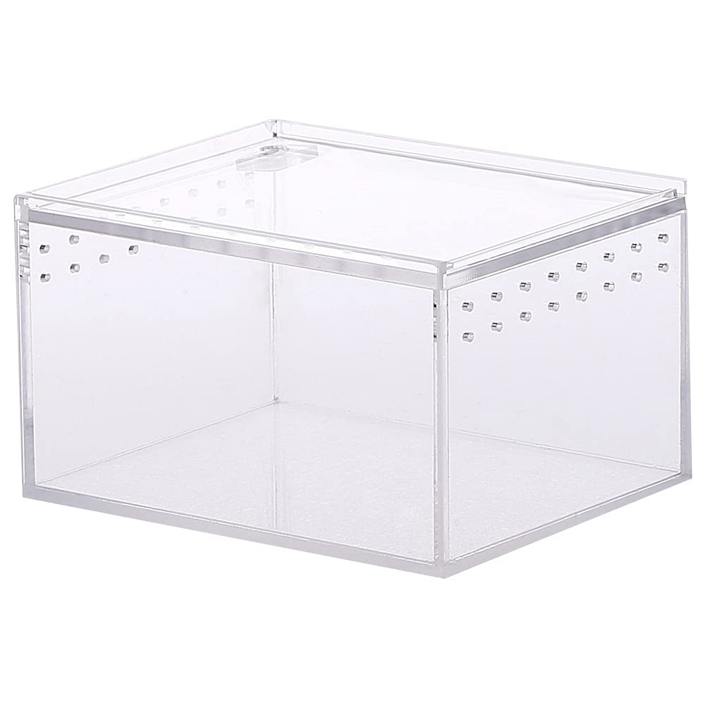 Caja de terrario, Caja de Alimentación de Insectos, Caja de cría de Reptiles, Caja Transparente para Reptiles, para cría de Reptiles, para Reptiles, Lagarto, Escorpio, ciempiés