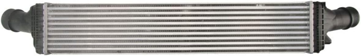 THERMOTEC Intercooler DAA019TT for Porsche Macan (95B)