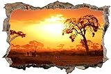 Zebra Safari Savanne Afrika Wandtattoo Wandsticker Wandaufkleber D0700 Größe 70 cm x 110 cm