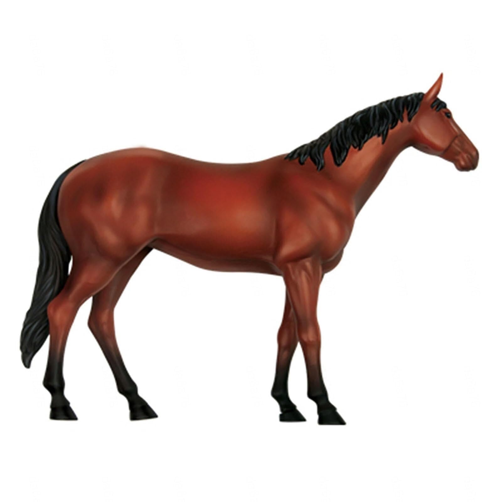 Modelo de Anatomía de Caballo 4D, Esqueleto Animal, Biología Desmontable, 26 Piezas para Clínicas Veterinarias, Formación Veterinaria y Demostraciones Docentes Escolares
