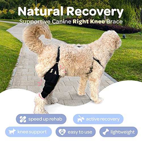 Image of Labra Dog Canine Knee Stifle Brace Wrap, Metal Splint Hinged Flexible Support Brace for K9 ACL, CCL, Luxating Patella, Cruciate Ligament Sprains in Back Hind Leg, Large - Right Knee, 75-100 lb Dogs