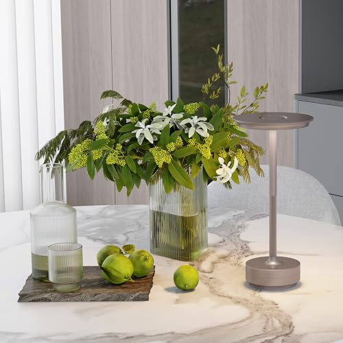 TBBGA Rechargeable Table Lamps Cordless, Portable 5000mAh Outdoor Table Light, 3 Color Stepless Dimming LED Table Lamp with Memory Function, for Home/Dinner/Patio/Restaurant.(Champagne Gold) TBBGA Rechargeable Table Lamps Cordless, Portable 5000mAh Outdoor Table Light, 3 Color Stepless Dimming LED Table Lamp with Memory Function, for Home/Dinner/Patio/Restaurant.(Champagne Gold)