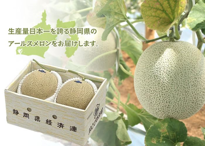 Amazon.co.jp: メロン アールスメロン 秀品 1.4Kg×2玉 静岡県産