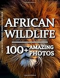 African Wildlife Photography Book - African Wildlife: 100+ Amazing Pictures and Photos in this fantastic African Wildlife Picture Book (African Wildlife Photography Book Series)