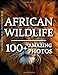 African Wildlife Photography Book - African Wildlife: 100+ Amazing Pictures and Photos in this fantastic African Wildlife Picture Book (African Wildlife Photography Book Series)