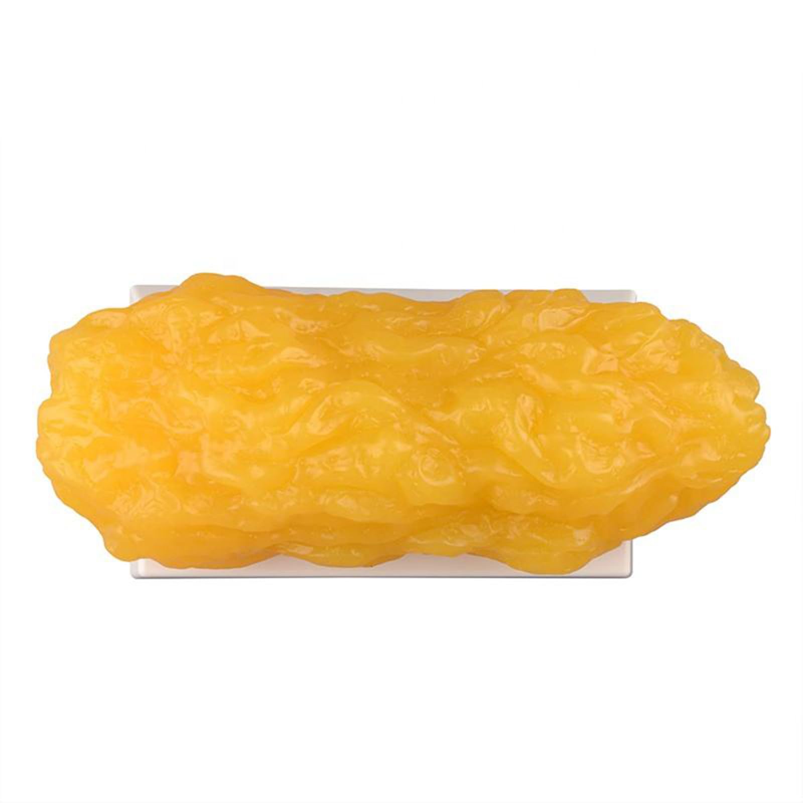 Modello anatomico di Grasso Umano da 5 libbre con Base - Replica del Grasso corporeo Umano - Perfetto per nutrizionisti e Appassionati di Fitness da esporre,Flesh,32CM