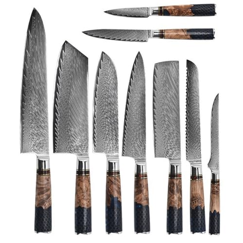 Set Cuchillos Cocina 10 Piezas Acero