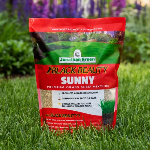 Jonathan Green (10870) Black Beauty Sunny Grass Seed - Cool Season Lawn Seed (25 Lb) #TOP2