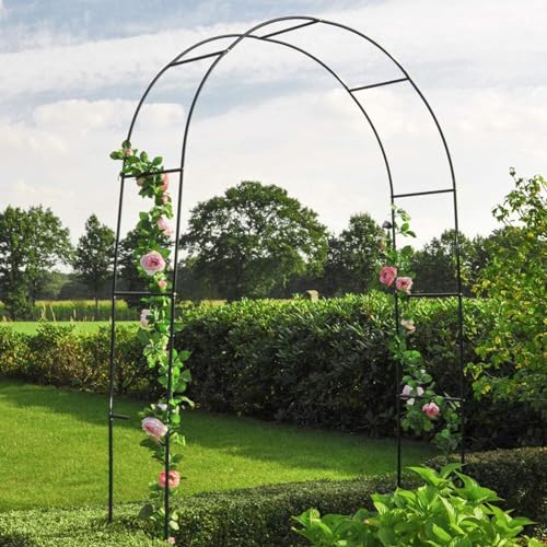 YHWKGZ Arco per Rose con Base, Traliccio ad Arco da Giardino for Verdure, Padiglione ad Arco in Metallo Resistente agli Agenti Atmosferici, Cornice ad Arco for Piante Rampicanti (Color : Black, Size