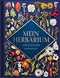  Mein Herbarium: sammelalbum zur Pflanzenbestimmung - 120 Seiten,Leer Buch zur Pflanzen Aufbewahrung - Getrockneten Blättern und Blüten