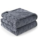 GASUR Waterproof Dog Blankets for Large Dogs, Dog Blanket for Couch Bed, Fleece Pet Blanket for Furniture Sofa Protector, Soft Pet Throw Blankets for Crate Car Outdoor, Washable, 50"x60",Grey