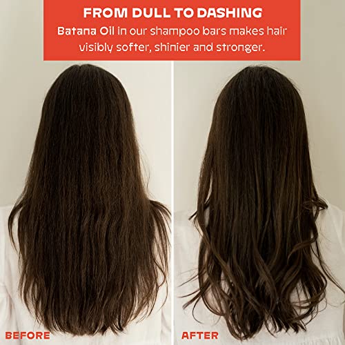 Nole Conditioner Bar Citrus For Oily Hair, Detangles And Nourishes Oil-Prone Hair, Pure Batana Oil | Sustainable, 100% Plastic Free Packaging, Eco-Friendly | 2.12 Oz #TOP4