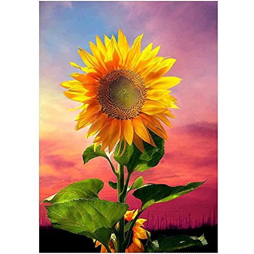 Broderie Diamant Tournesol 40x80cm | Kit Complet Grand Format pour Salon