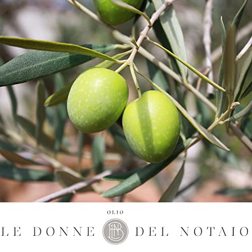 Latta 3 Litri Condimento a Base di Olio