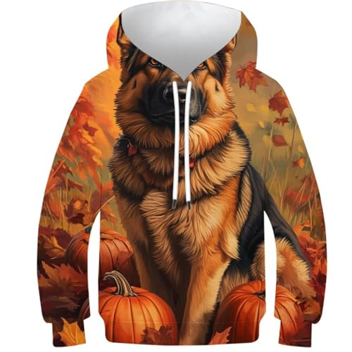 Sweat à capuche enfant motif chien d'automne : fini les pulls qui grattent pour les 11-13 ans