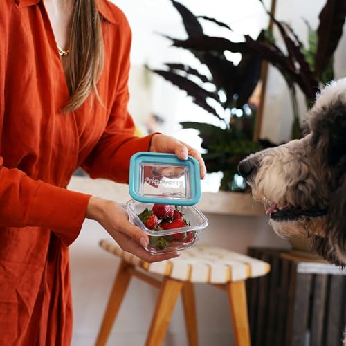 Bormioli Rocco Frigoverre Future 14.25 oz. Square Stackable Glass Food Storage Container Made of Tempered Glass with Silicone Rubber Seal, Set of 12 by Bormioli Rocco - Image 3