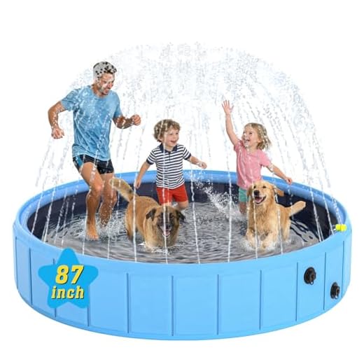 BerrysParadise 87in Sprinkler Dog Pool