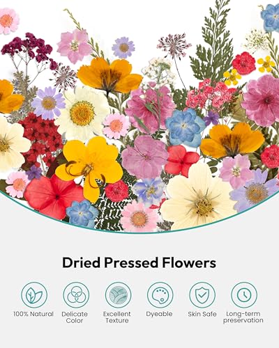 Image of Dried Flowers, Resiners 100Pcs Pressed Flowers for Craft Real Natural Dried Flowers Dry Leaves Kit for DIY Making Crafts Resin Soap Candle Scrapbook Supplies Card Making Jewelry