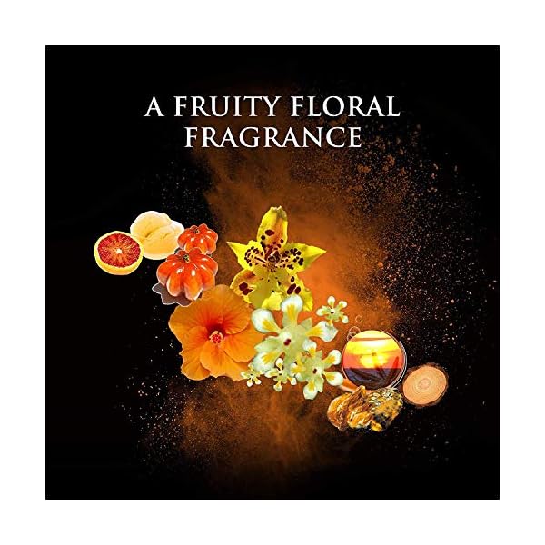 Beyonce-Heat-Rush-by-Beyonce-Eau-De-Toilette-Spray-34-Ounce-Gold Beyonce Heat Rush by Beyonce, Eau De Toilette Spray, 3.4 Ounce, Gold