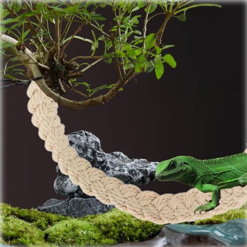 Image of Hermit Crab Climbing Toys, Hermit Crab Supplies Tank Terrarium Accessories, Habitat Decor for Tree Frogs,Crested Gecko Lizards Geckos Snakes