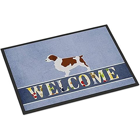OUSHENGMAOYI Door Mat,Welsh Springer Spaniel Welcome Doormat 60X40Cm Multicolor Cover