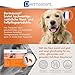 Innovative Hautpflegelösung für Hunde und kleine Haustiere | Feuchtigkeitsspendend, glänzend, kontrolliert Haarausfall, reduziert Gerüche und schützt mit natürlichen Inhaltsstoffen | 20-40 kg