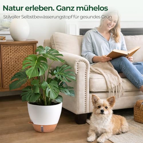 T4U 2er Set 30cm Selbstbewässernder Blumentopf mit Überlaufschutz, für Gummibaum & Geigenfeige, blumentopf Gross innen & pflanzkübel groß außen, Weiß