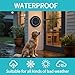 Wireless Dog Doorbell for Potty Training to Go Outside, Waterproof Pet Bell with 1 Touch Buttons and 1 Receiver, 1000 Feet Range, 60 Melodies & Adjustable Volume, Black