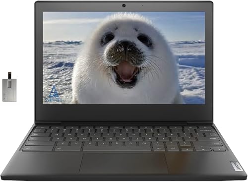 Lenovo Chromebook 3 2022 HD de 11.6 pulgadas para laptop de negocios y estudiantes, procesador Intel Celeron N4020, 4 GB de RAM, 64 GB eMMC,
