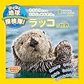 ナショジオキッズ　わくわく地球探検隊！　ラッコの世界