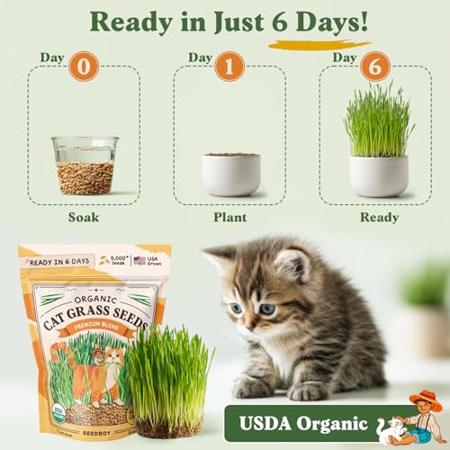 Seedboy-Organic-Cat-Grass-Seeds-for-Planting-Non-GMO-Wheat-Oat-Rye-and-Barley-Pet-Grass-Seeds-for-Indoor-Cats