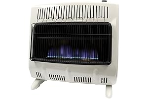 30000 BTU Vent Free Blue Flame Propane Heater with Thermostat and Blower
