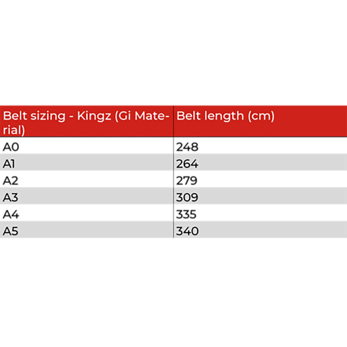 Tatami Fightwear Kid's IBJJF Rank Belt - M0 - Gray
